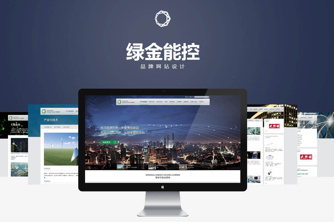 网站腾云网络-专业的电商网站技术服务商，帮助国内卖家建立电商