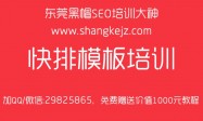 黑帽SEO培训我只推荐拿站seo奇怪了！(图2)