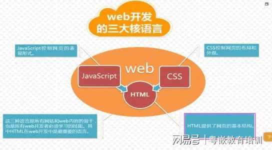 主流编程语言，大家可以跟据自己的目标进行选择！！(图2)