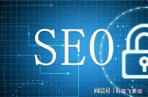 seo是一款专业的网站SEO优化工具分析(图1)