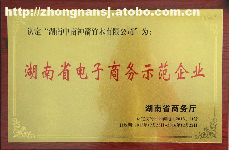 

电子商务示范标准企业规范及示范类型企业发展规范(图2)