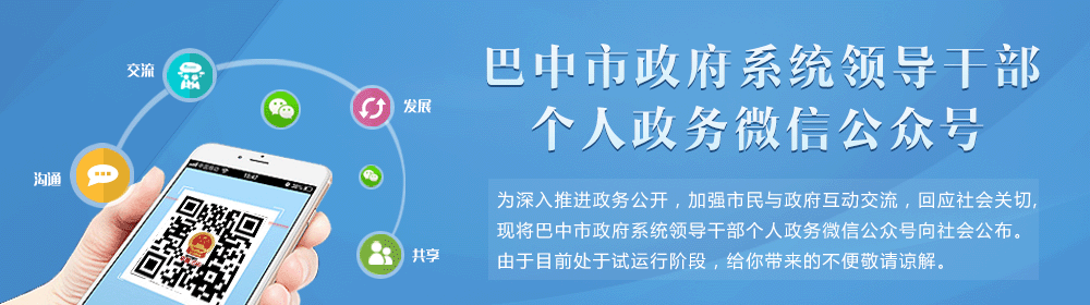 网站建设国务院办公厅关于加强政府网站建设和管理工作的意见(图