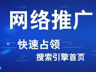 网站优化专业从事网站优化关键词的安徽领聚于2022/6/21