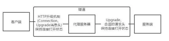 谁说WebSocket只能和阿帕奇搭配腾云网络带你看看WebSocket与Nginx的小秘密(图4)